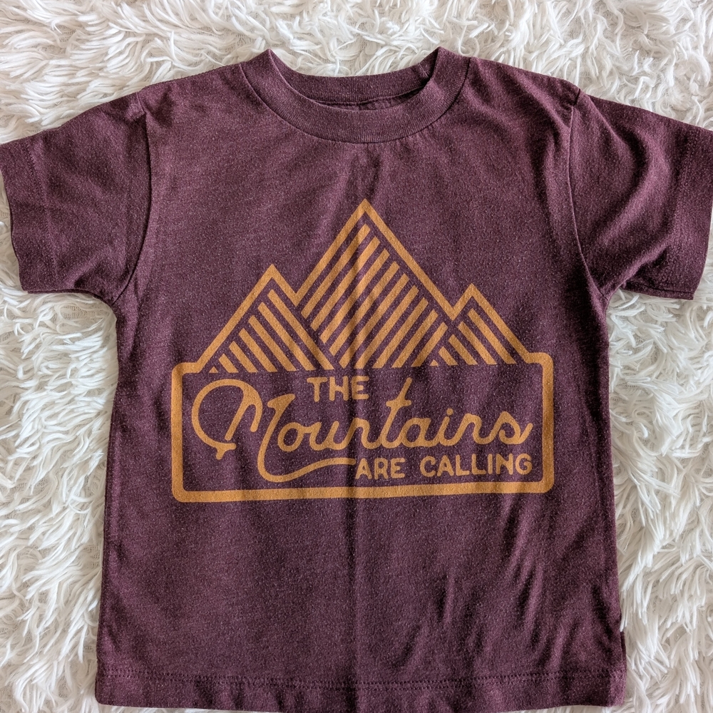 Kids Maroon Graphic T-Shirt